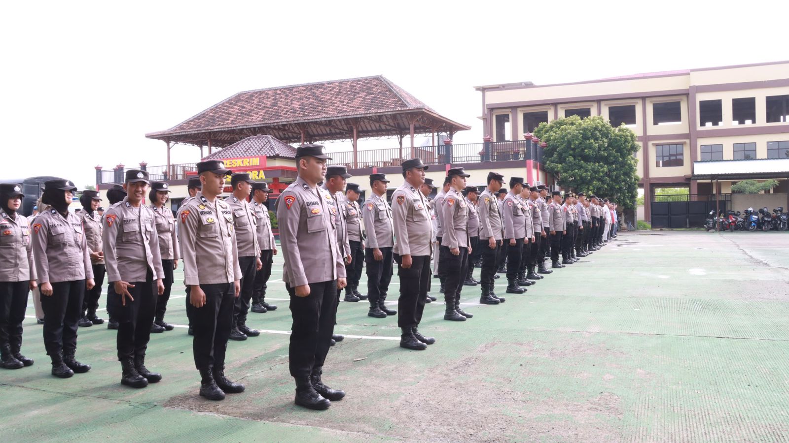 WhatsApp Image 2024-12-31 at 09.03.27 (1)