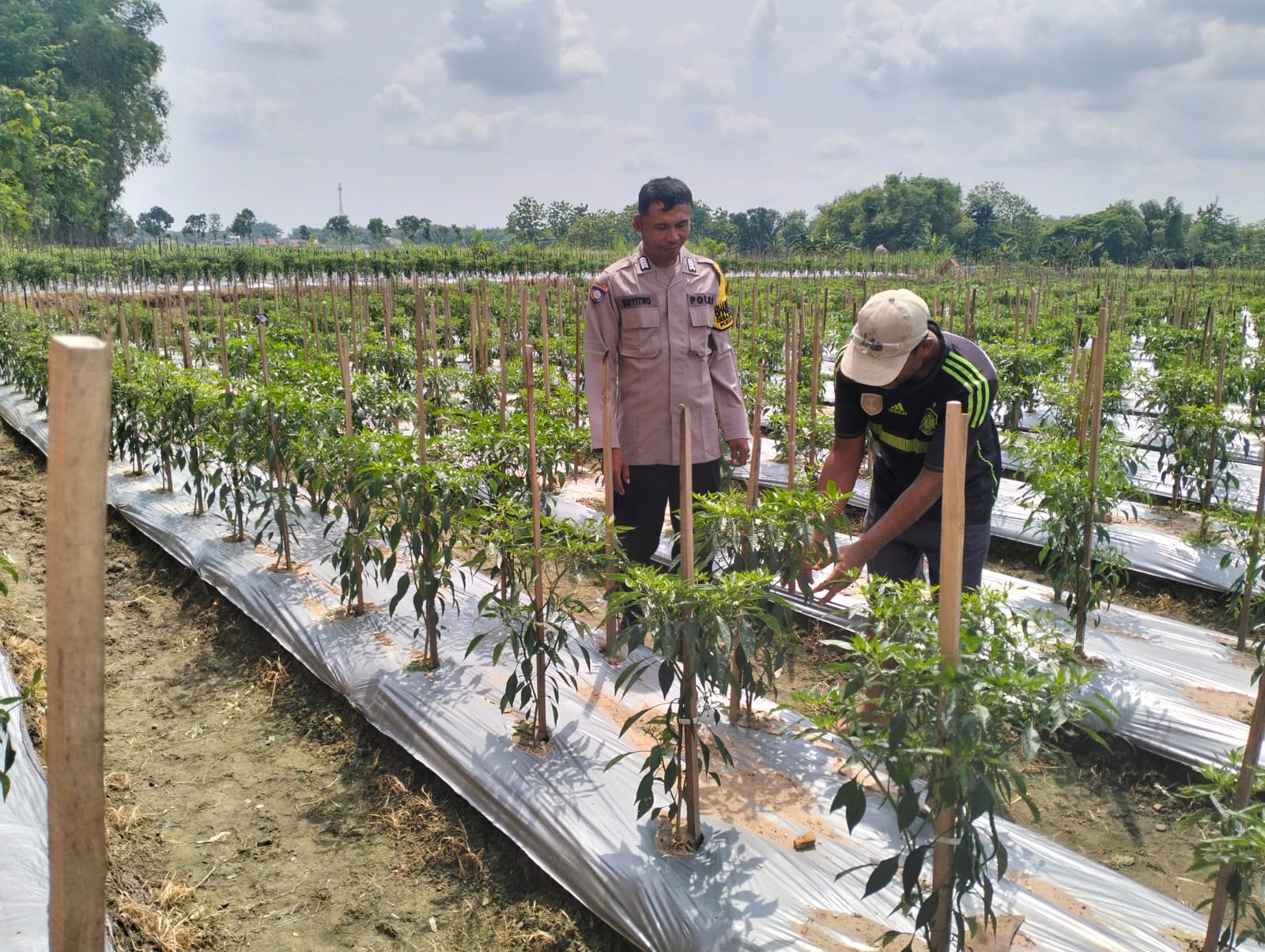 0f57c81e-9d3e-43ce-abea-0a581d1f2cd3