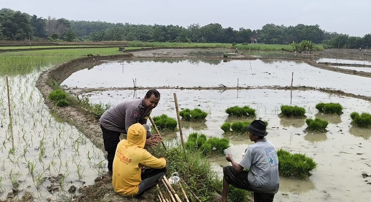 WhatsApp Image 2025-12-05 at 12.48.06_0f61b5a9